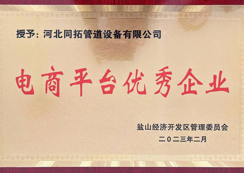 電商平臺優(yōu)秀企業(yè)
